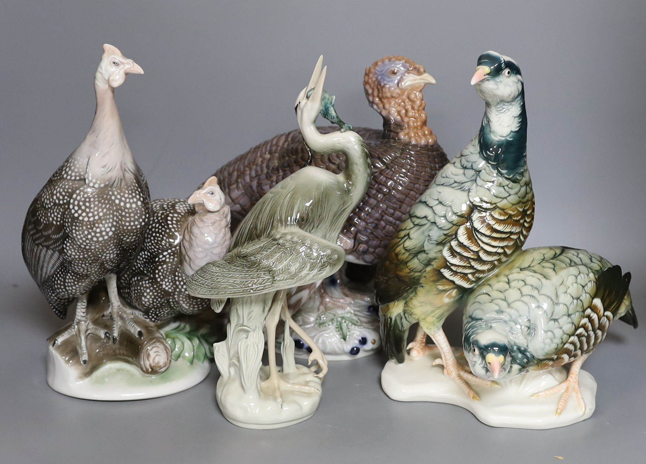 A Rosenthal porcelain model of two guinea fowl, impressed model number 205, a Bing & Grondahl limited edition model of a turkey, no.31 of 750, model 2426 or 2727, a Royal Dux porcelain model a heron and a Karl Ens group